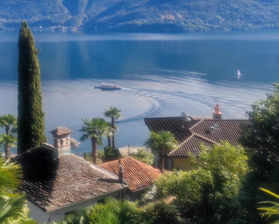 Residence Venus Garden Brissago Exterior photo